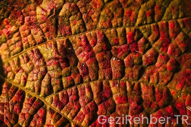 Kıbrıs uçakla kaç saat istanbul