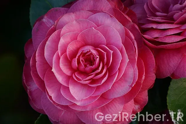 Kıbrıs uçakla kaç saat istanbul