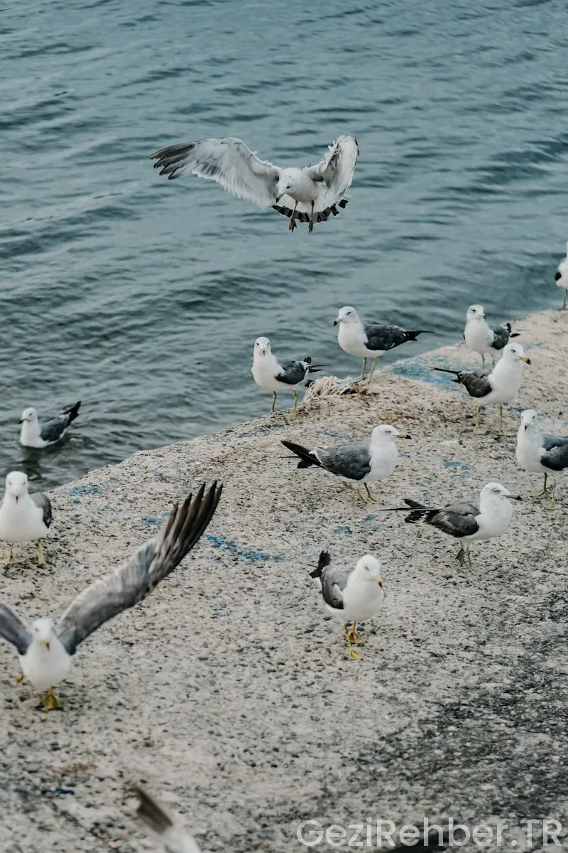 Kırıkkale’de Gezilecek Yerler