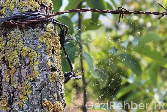 Kocaeli kamp yerleri