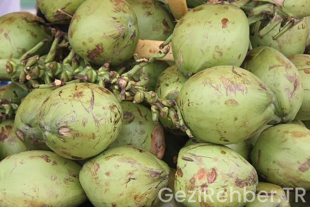 Köln de nerede kalınır