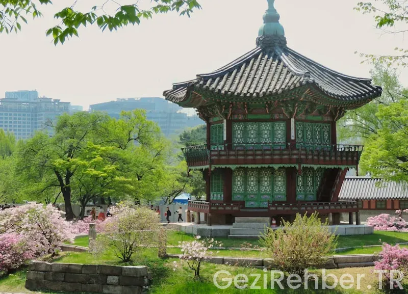 Korea travel guide