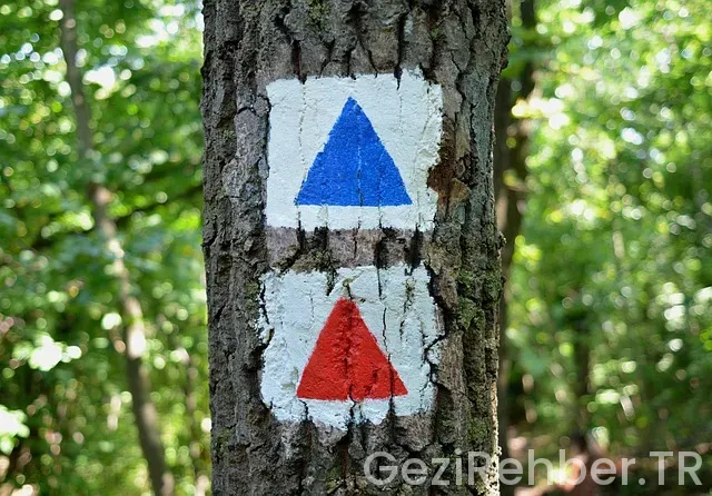 Küba Turist Vizesi Nasıl Alınır?