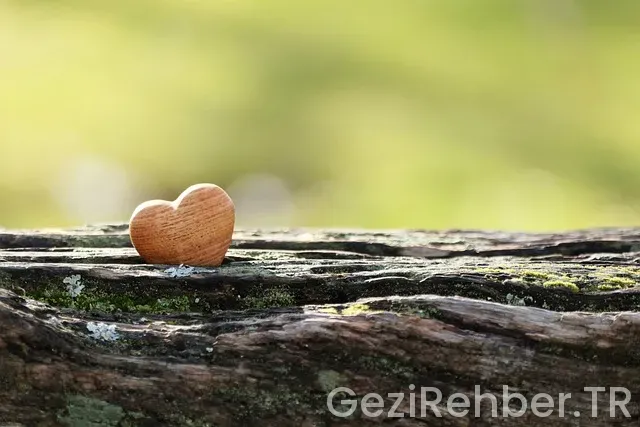 Küba uçakla kaç saat