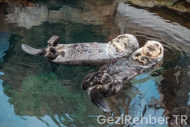 Lizbon gezi notları