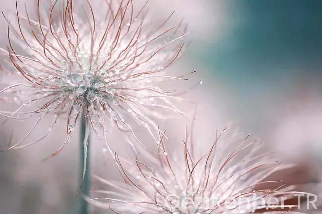 Macaristan gezilecek yerler