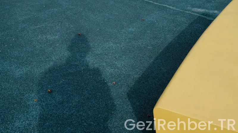 Mangalın Yanına Ne Gider?