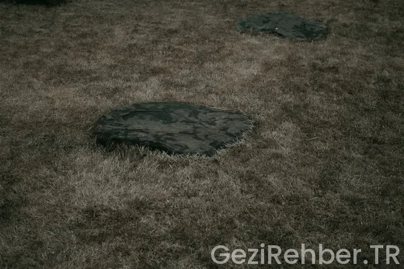 Mangalın Yanına Ne Gider?