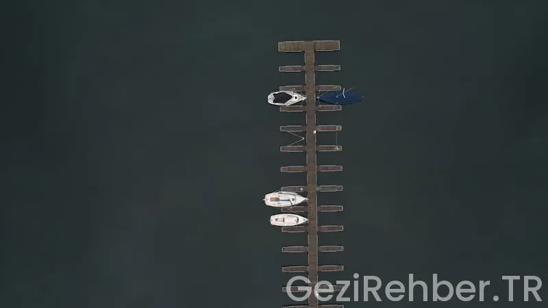 Mangalın Yanına Ne Gider?