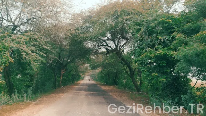 Manisa’da Gezilecek Yerler