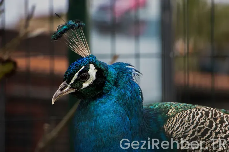 Marmara Gezi Rotası