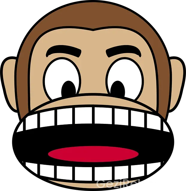 Marmara gezi yedigöller turu ne zaman