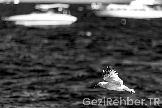 Marmara gezilecek yerler haritası