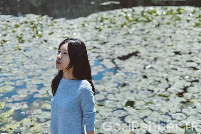 Marmara üniversitesi gezi talep formu