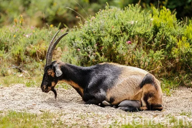 Marmara'da görülmesi gereken yerler