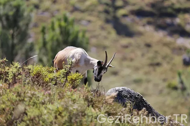 Marmara'da görülmesi gereken yerler