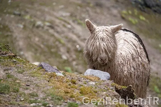 Marmaranın turistik yerleri