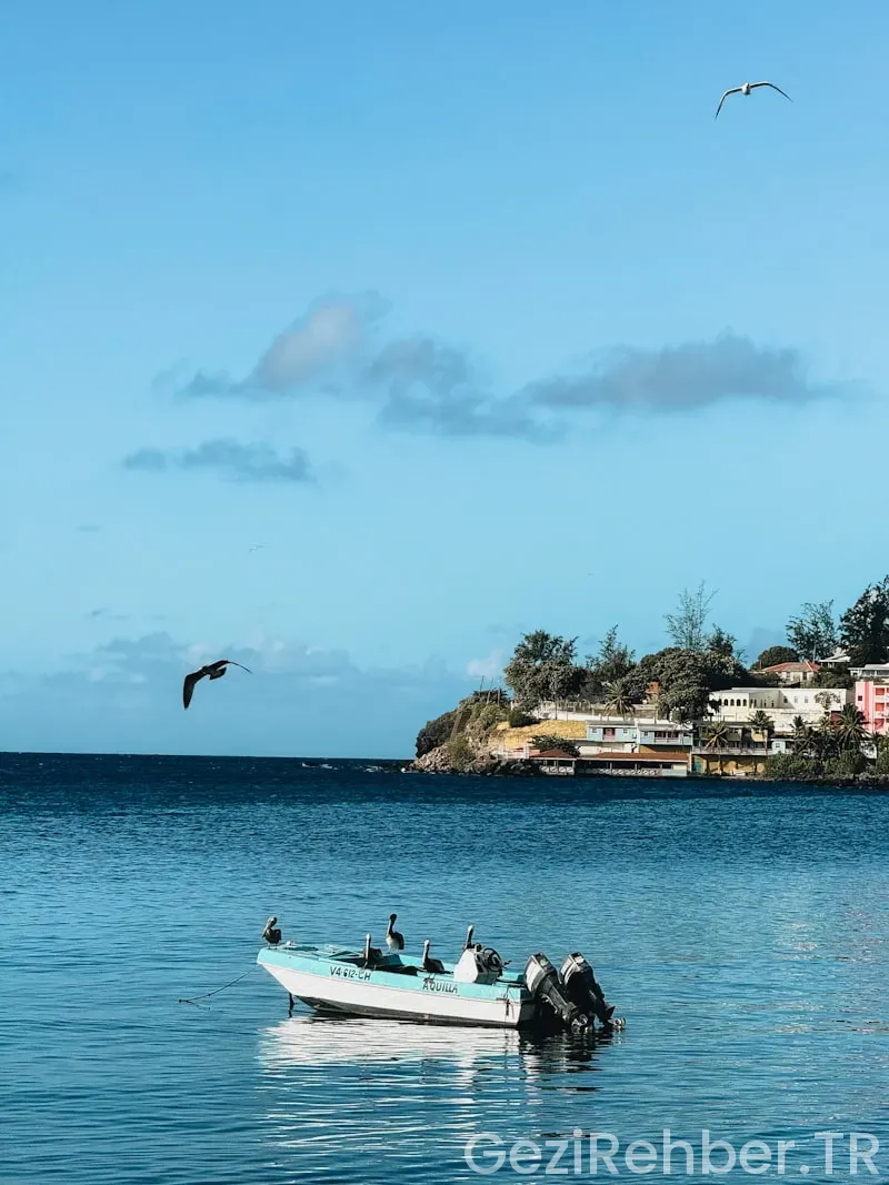 Martinique travel guide Martinique travel guide
