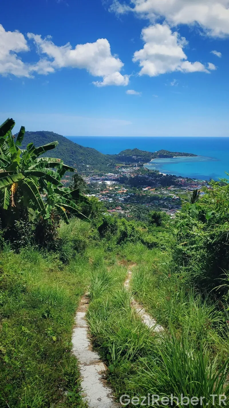 Martinique travel guide Martinique travel guide