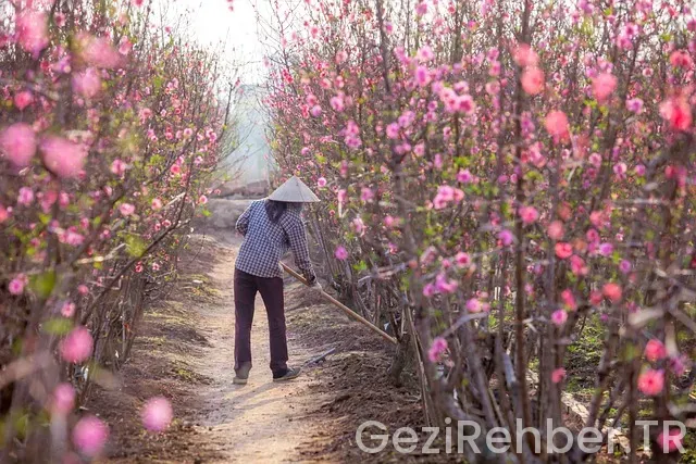 Maxi Gezi Doğu Anadolu