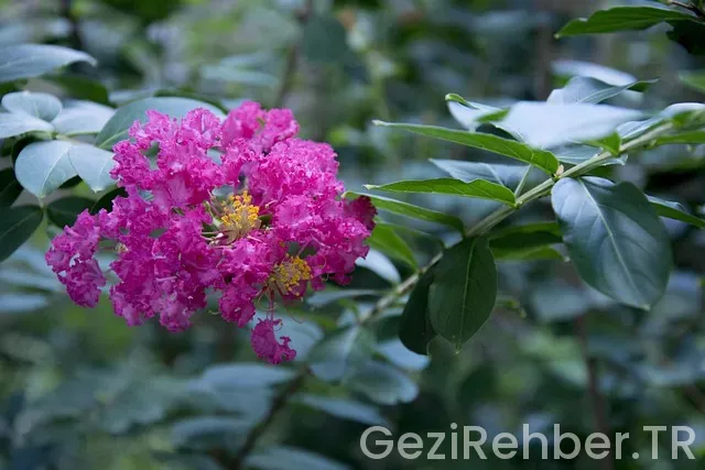 Mersin Gezi Tur Acentaları​