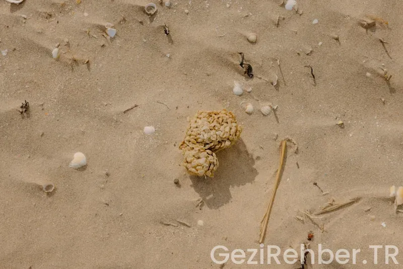 Mersin plaj önerileri