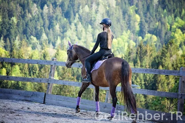 Midilli gezi notları