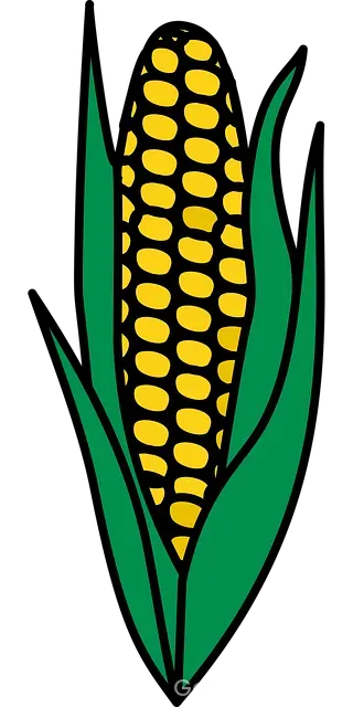 Mısır Gezi Maliyeti