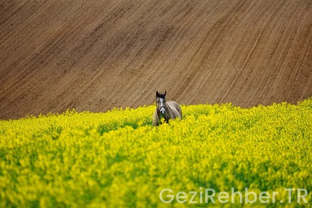 Montenegro gezi notları