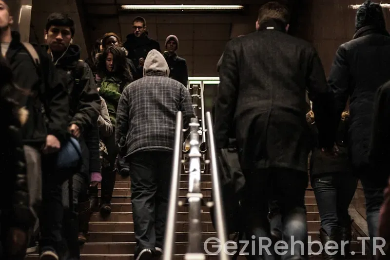 Mta müzesi sanal gezi