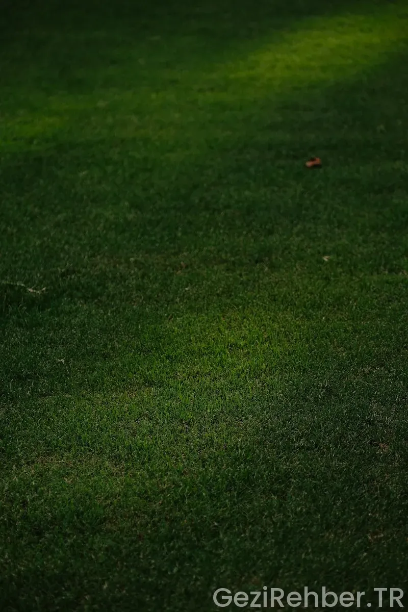 Mudanya’da Gezilecek Yerler