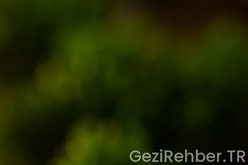 Mudanya’da Gezilecek Yerler