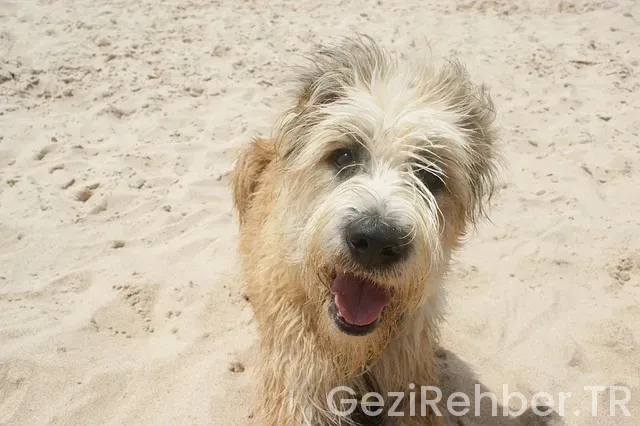 Muğla da nerede kalınır