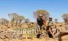 Namibia travel guide