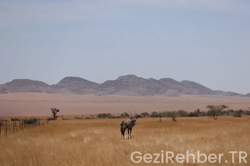 Namibia travel guide Namibia travel guide