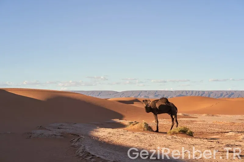 Namibia travel guide Namibia travel guide