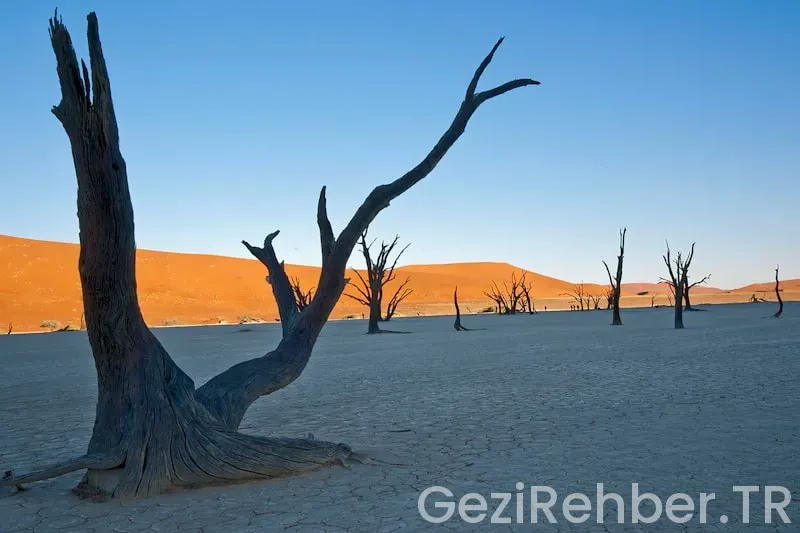 Namibia travel guide Namibia travel guide