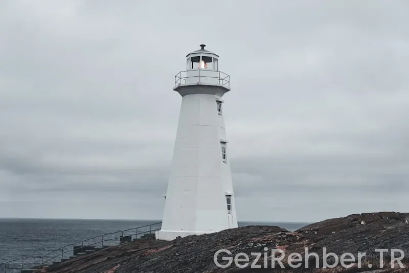 Newfoundland travel guide