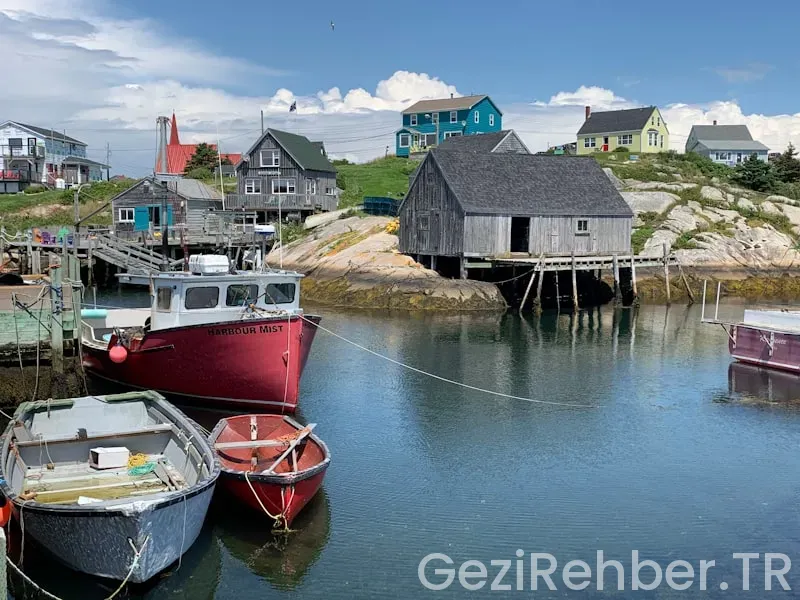Newfoundland travel guide