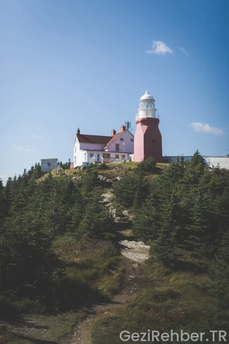 Newfoundland travel guide