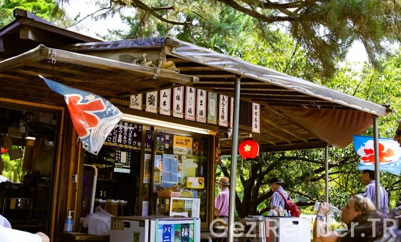 Okinawa travel guide