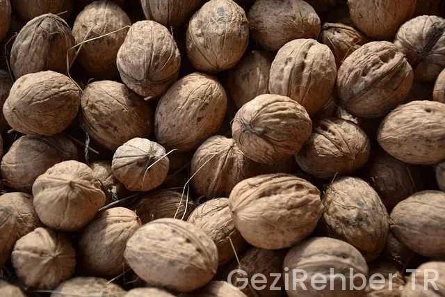 Oktoberfest nerede kalınır