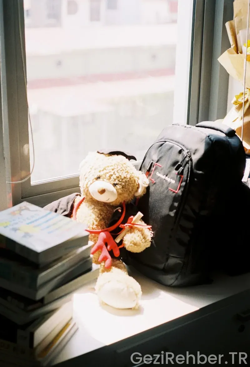 Okul yurtdışı gezileri