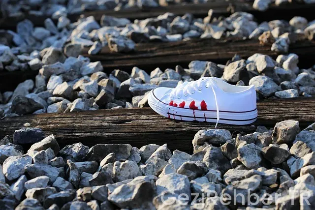 Okyanus nasıl bir yer