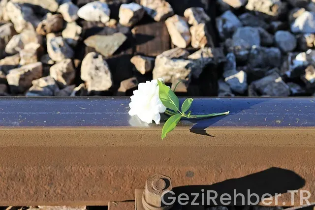 Okyanus nasıl bir yer