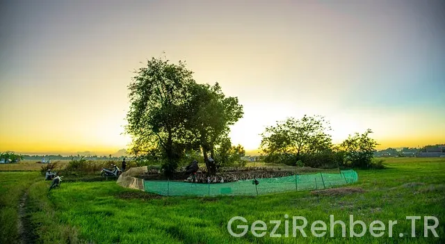 Okyanus ve kıtaları gösteren harita