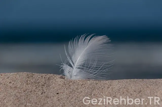 Okyanusta keşif gezisi