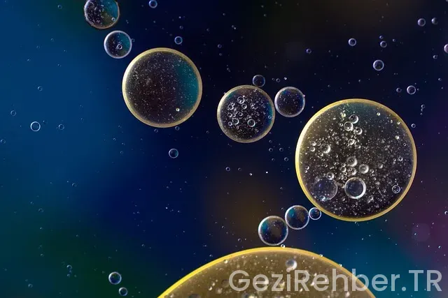 Okyanusya kıtası neresi