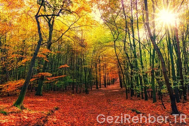 Okyanusya kıtasının özellikleri