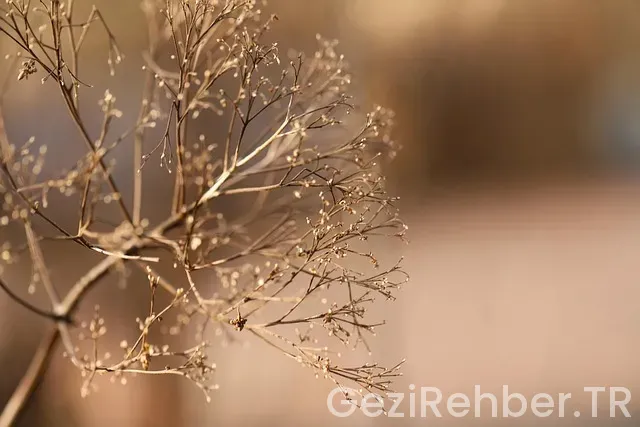 Ordu bursa arası uçakla kaç saat